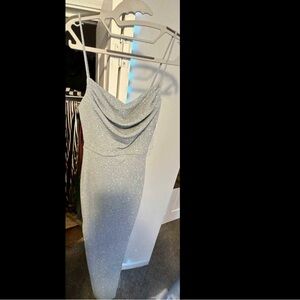 Windsor Strapless Silver Dress